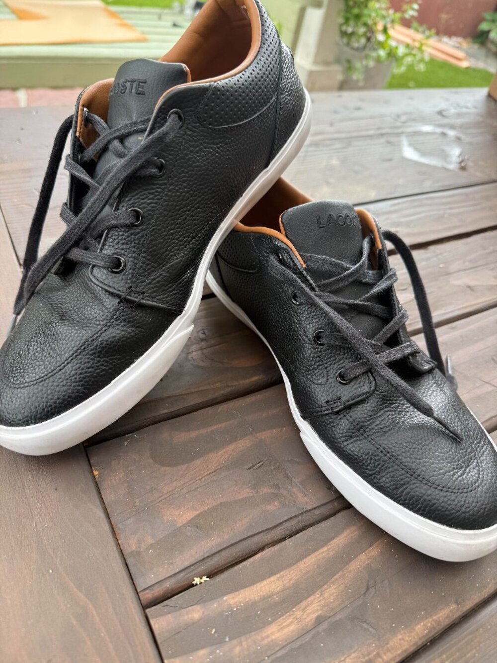 Lacoste Mens Black Leather Sneakers